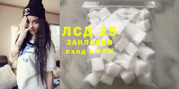 прущий лед Алзамай