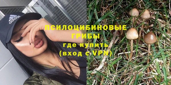 дмт Абинск