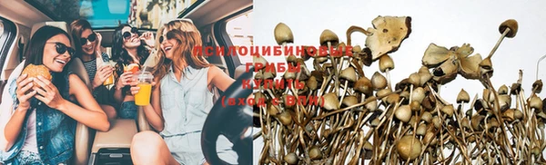 mix Абаза