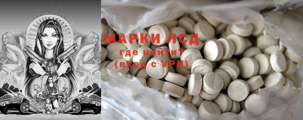 прущий лед Алзамай