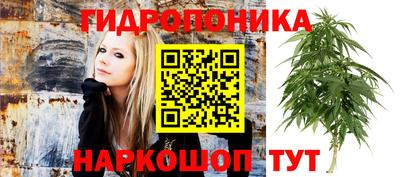 скорость mdpv Кингисепп